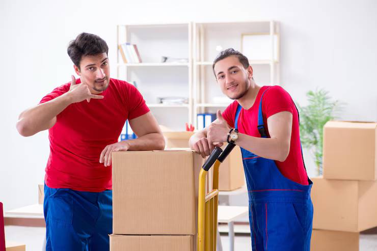 6 Essential Tips for Working with Packing Companies in Annapolis, MD