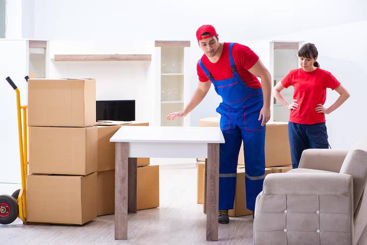 Professional movers doing home relocation